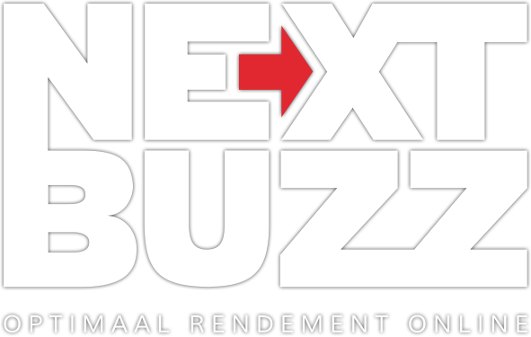 Next Buzz Logo