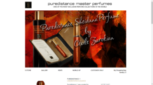 puredistance webdesign next buzz amersfoort