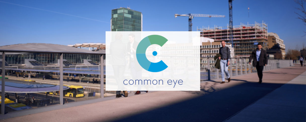 Common Eye